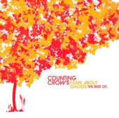 Counting Crows - Accidentally In Love